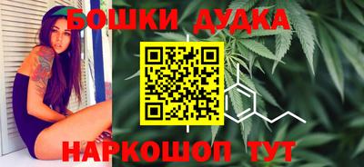 apvp Кингисепп