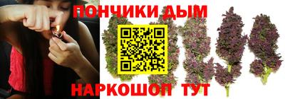 apvp Кингисепп
