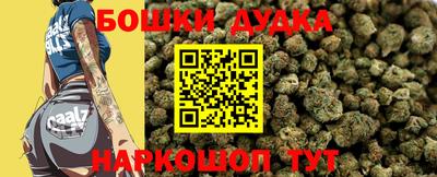 apvp Кингисепп