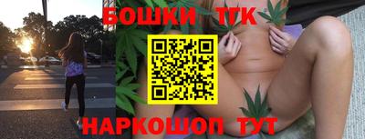 apvp Кингисепп