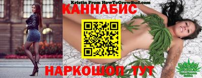 apvp Кингисепп