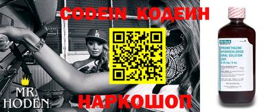 apvp Кингисепп