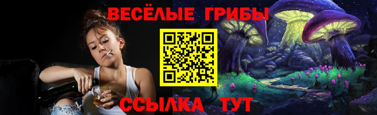 Псилоцибиновые грибы Psilocybe Куйбышев